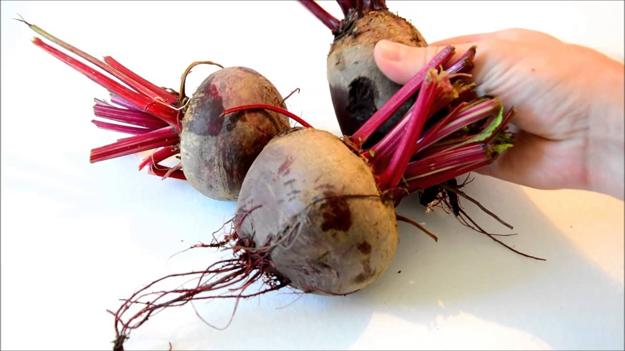 rote beete kochen