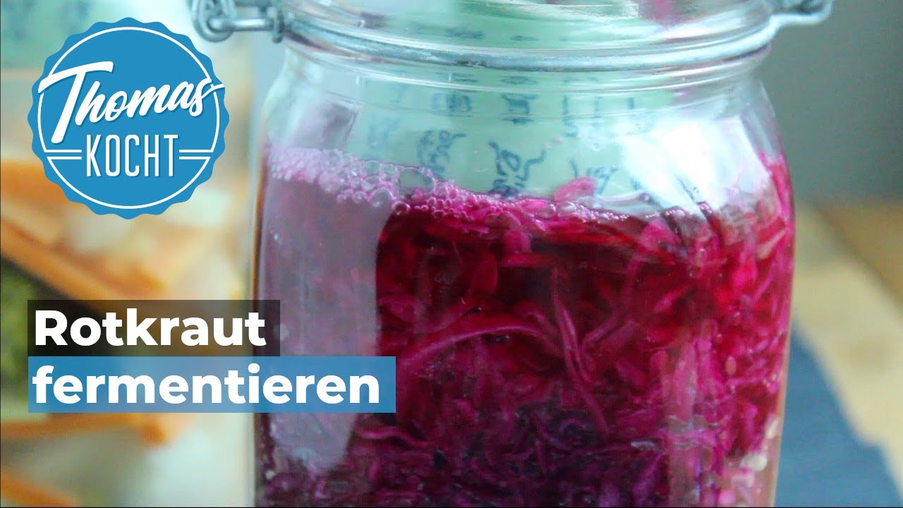 rotkohl einlegen