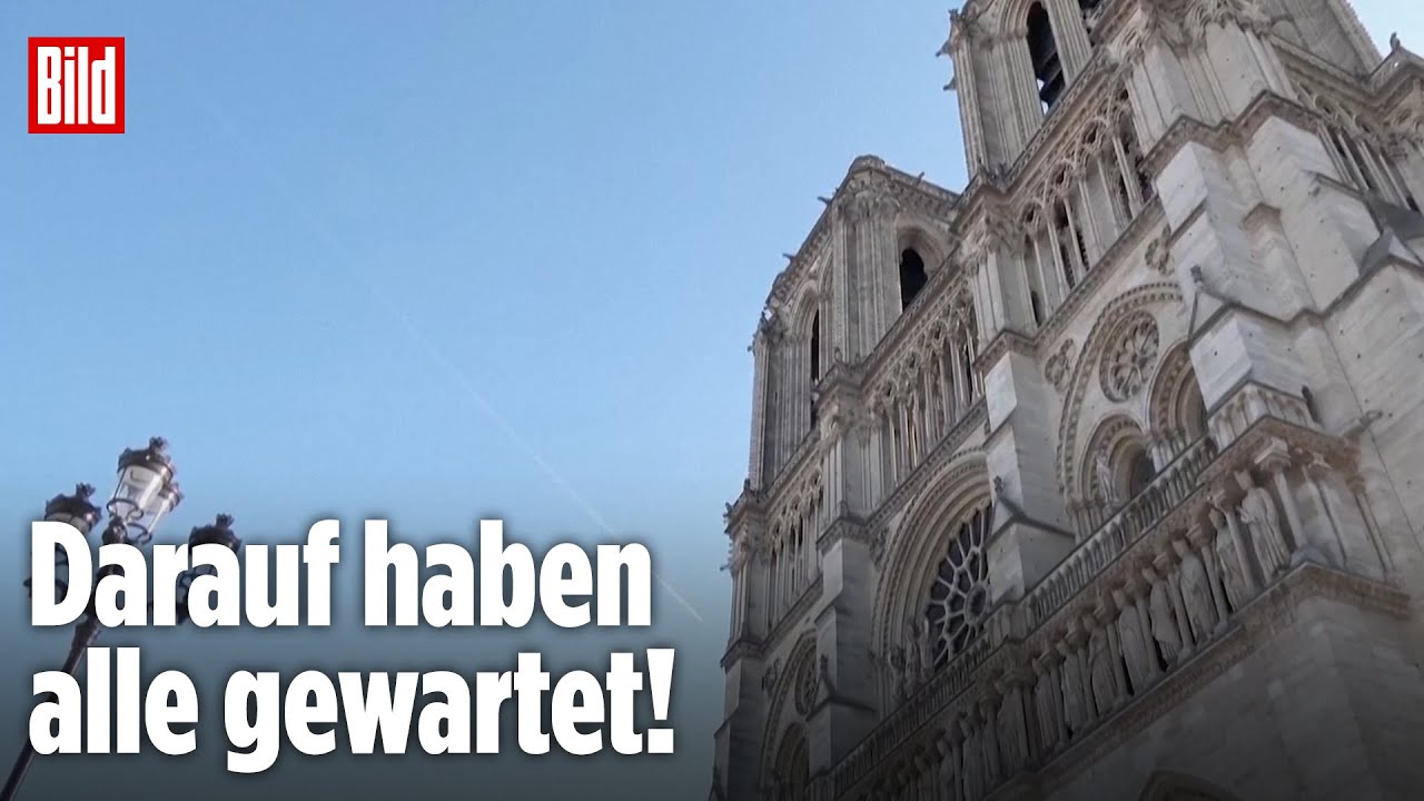 kathedrale notre-dame de paris aktuell