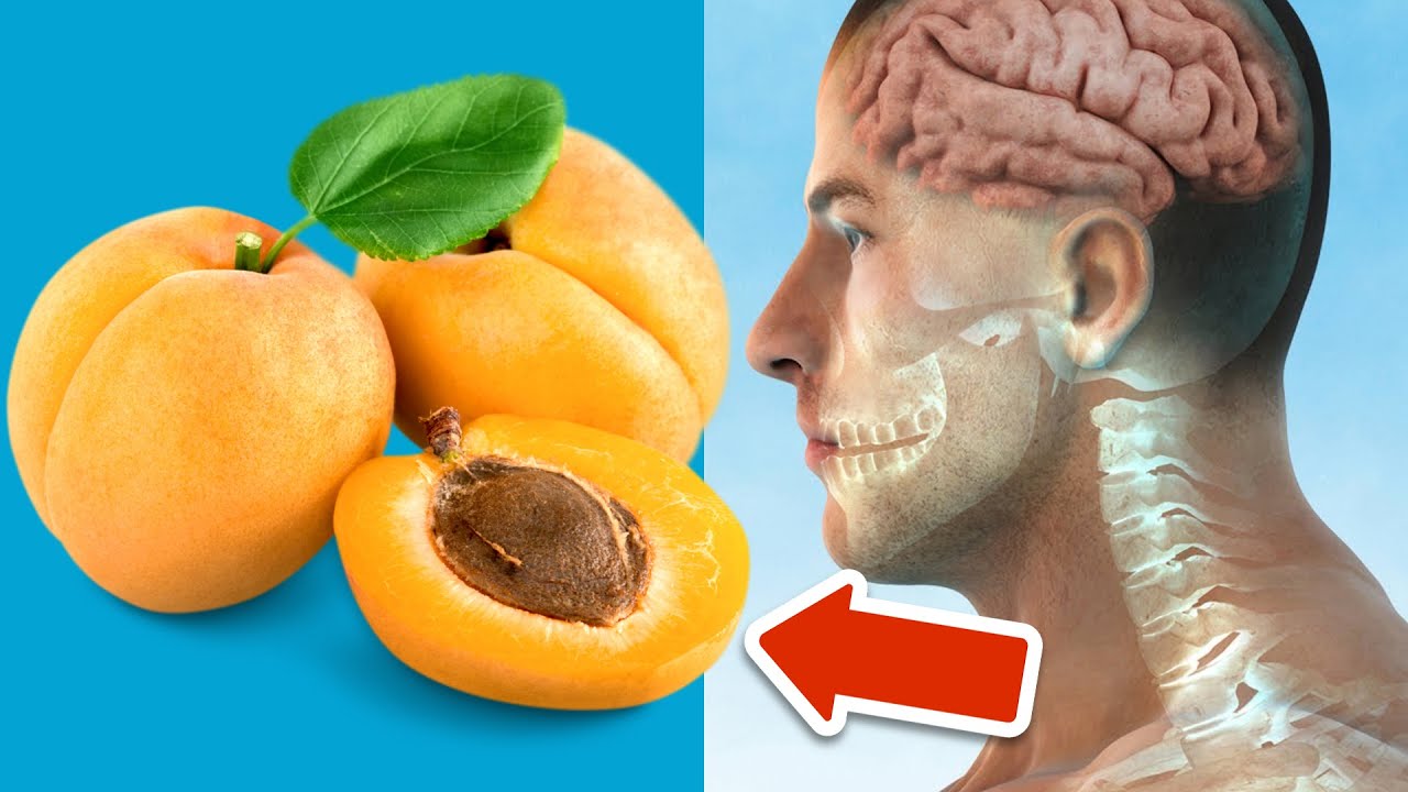 aprikosen gesundheit