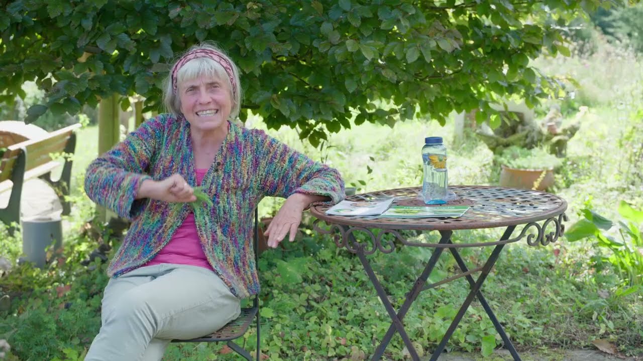bitterstoffe für die gesundheit