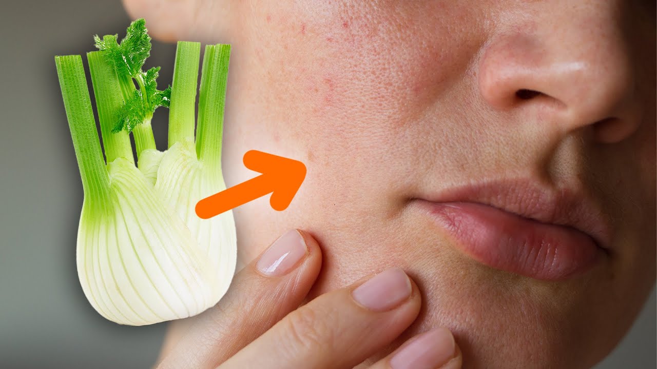 fencheltee gesundheit