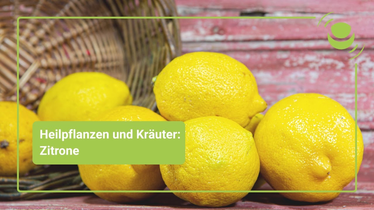 gesundheit zitrone