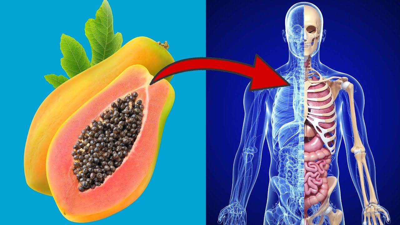 papaya gesundheit kerne