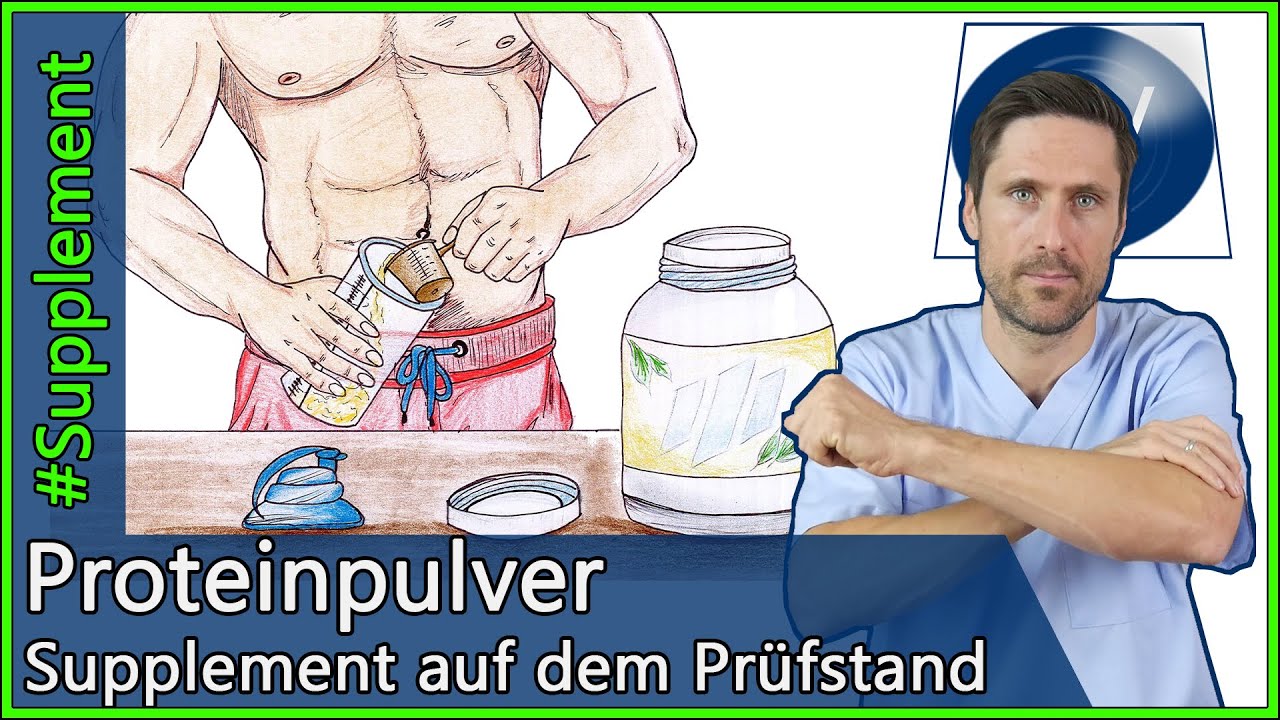 proteinpulver gesundheit