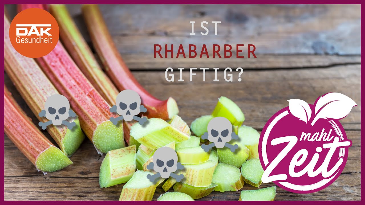 rhabarber gesundheit