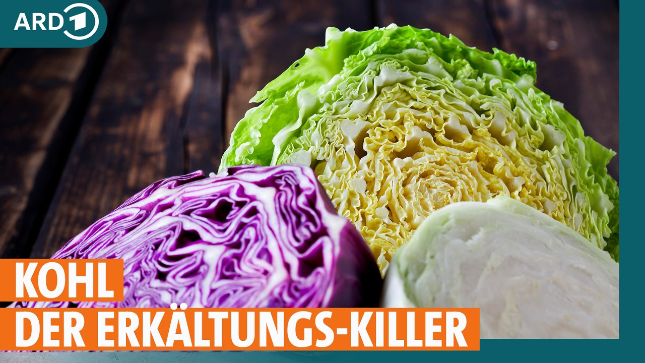 weißkohl gesundheit