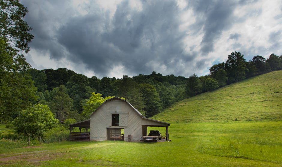 carolina gynning barn