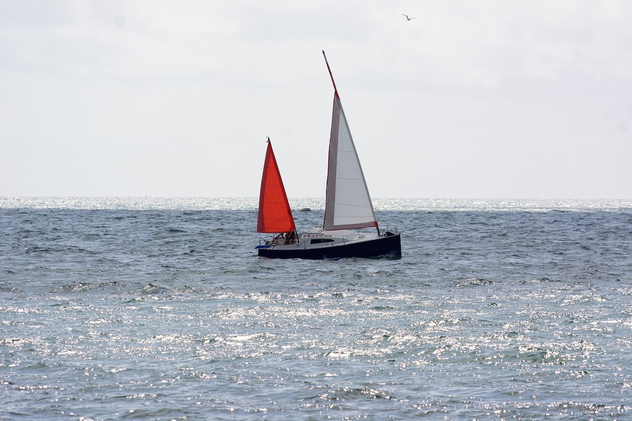 ej processad mat