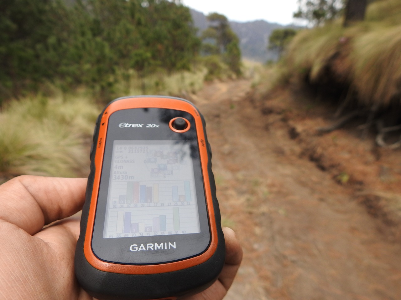 garmin forerunner 245