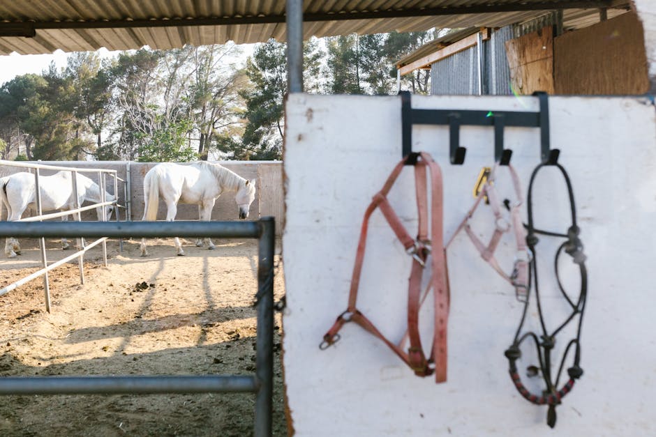 ingemar stenmark barn
