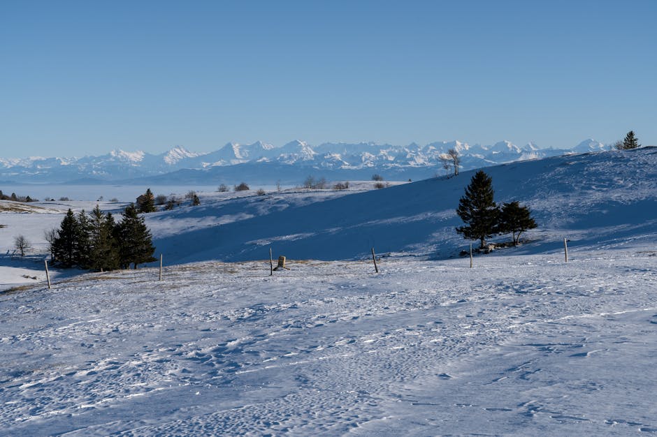 jura e8