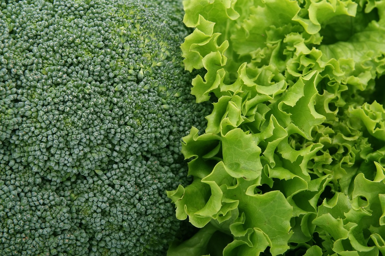 kålrabbi sallad