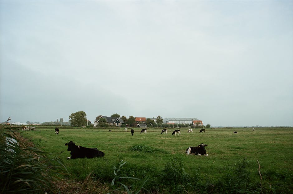 klomaskin barn