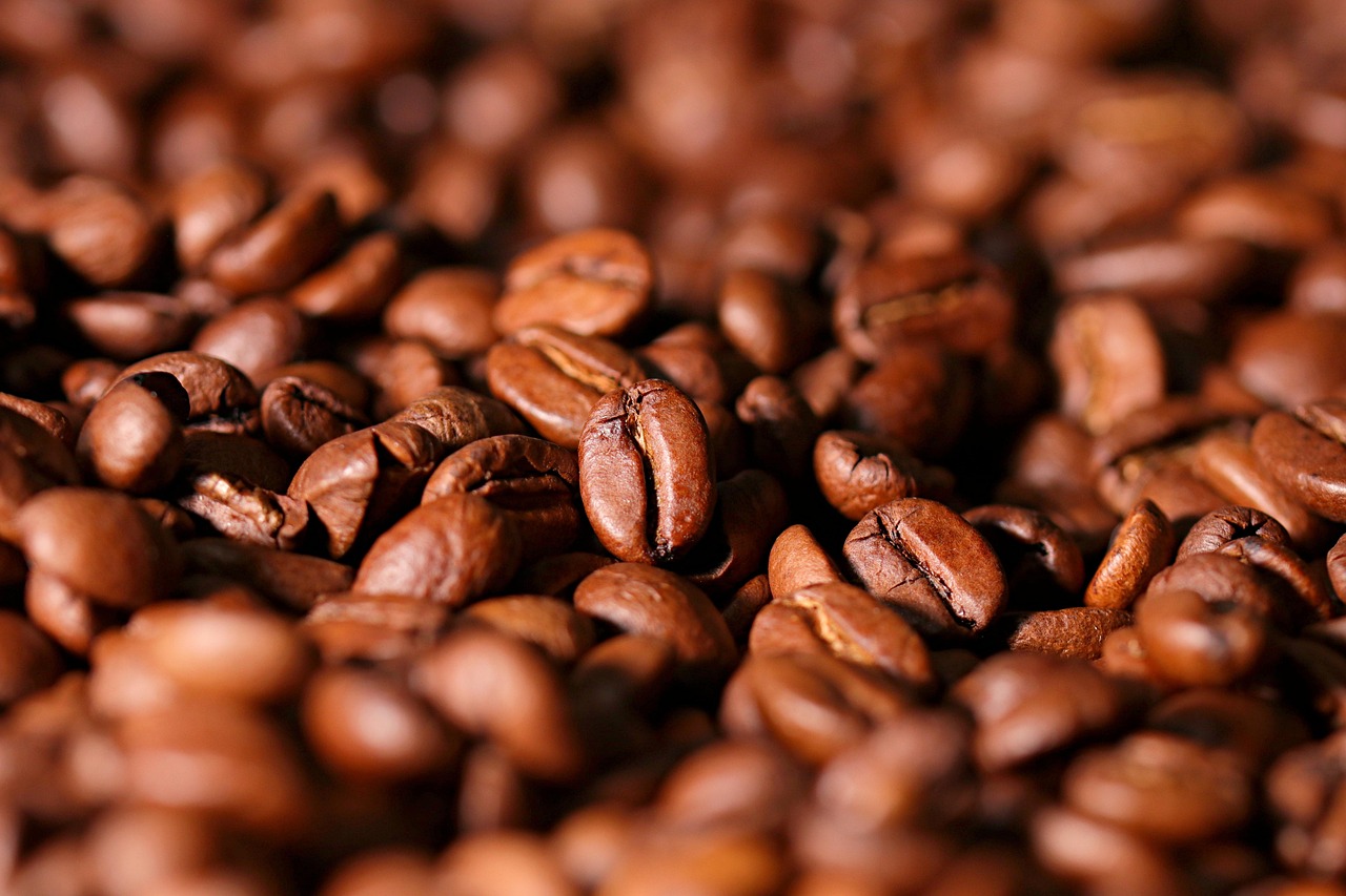 koffein fertilitet