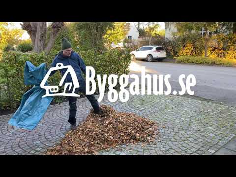 lövblås