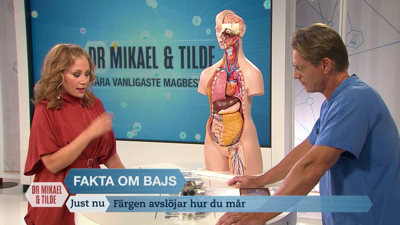 Mörkt bajs 5 chockerande fakta du aldrig visste om det 1 mörkt bajs