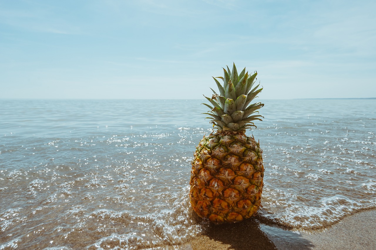 pina colada recept
