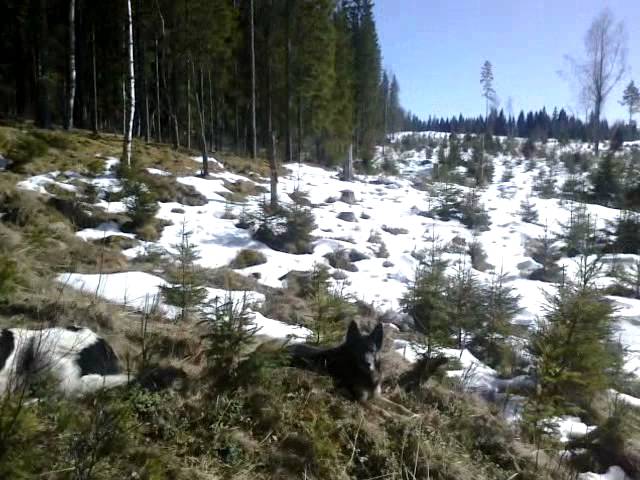 påsklunch