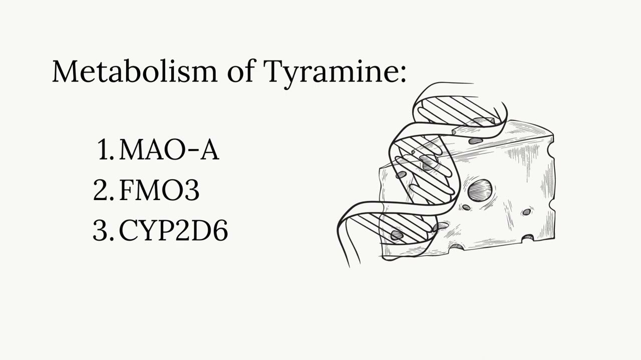 tyramin