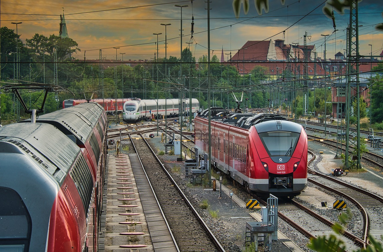 belgica vs