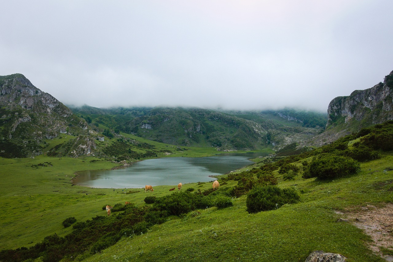 caldereta de cordero