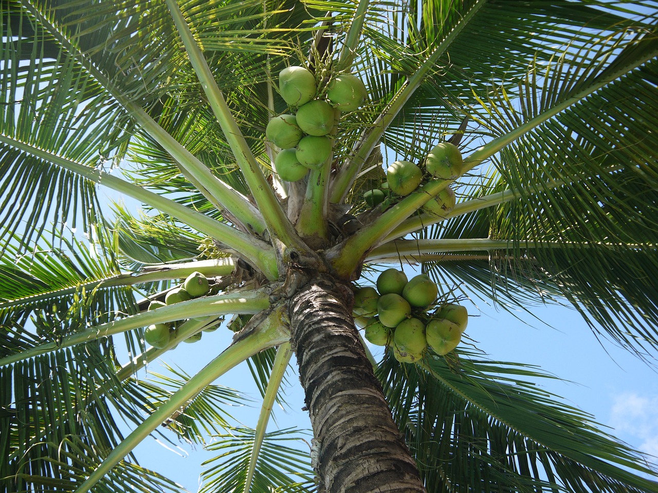 cocido maragato