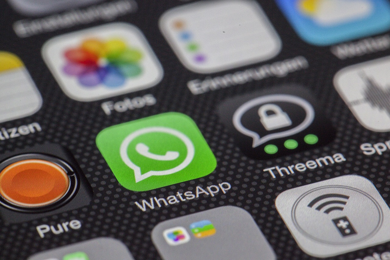 luzia whatsapp
