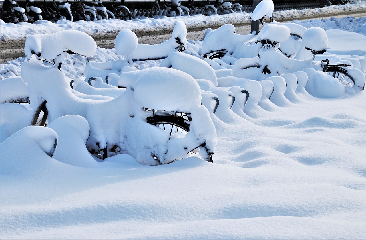 nieve