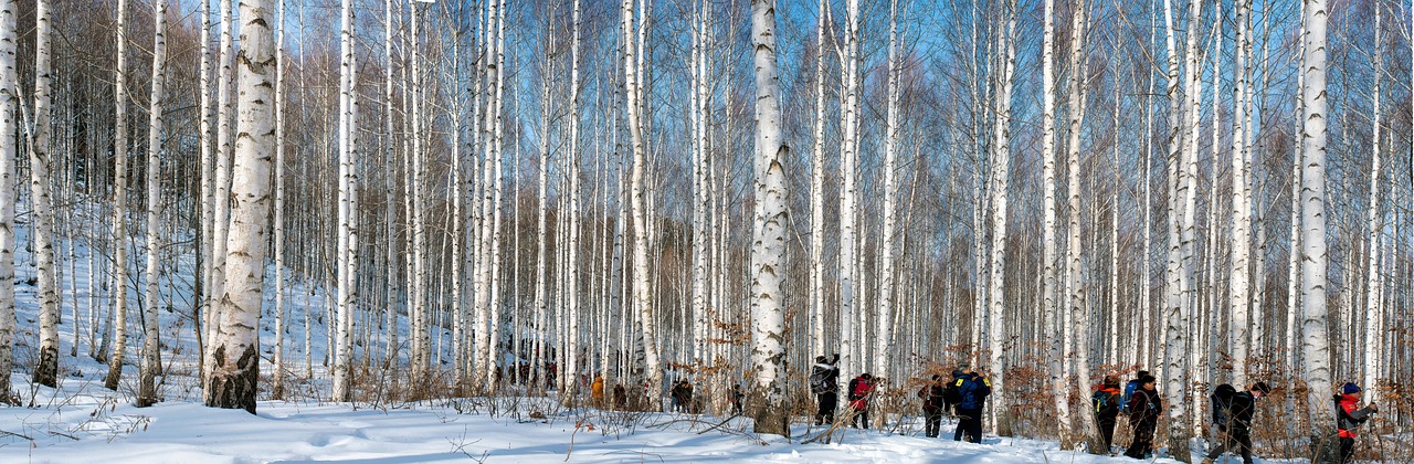 birch creek communication