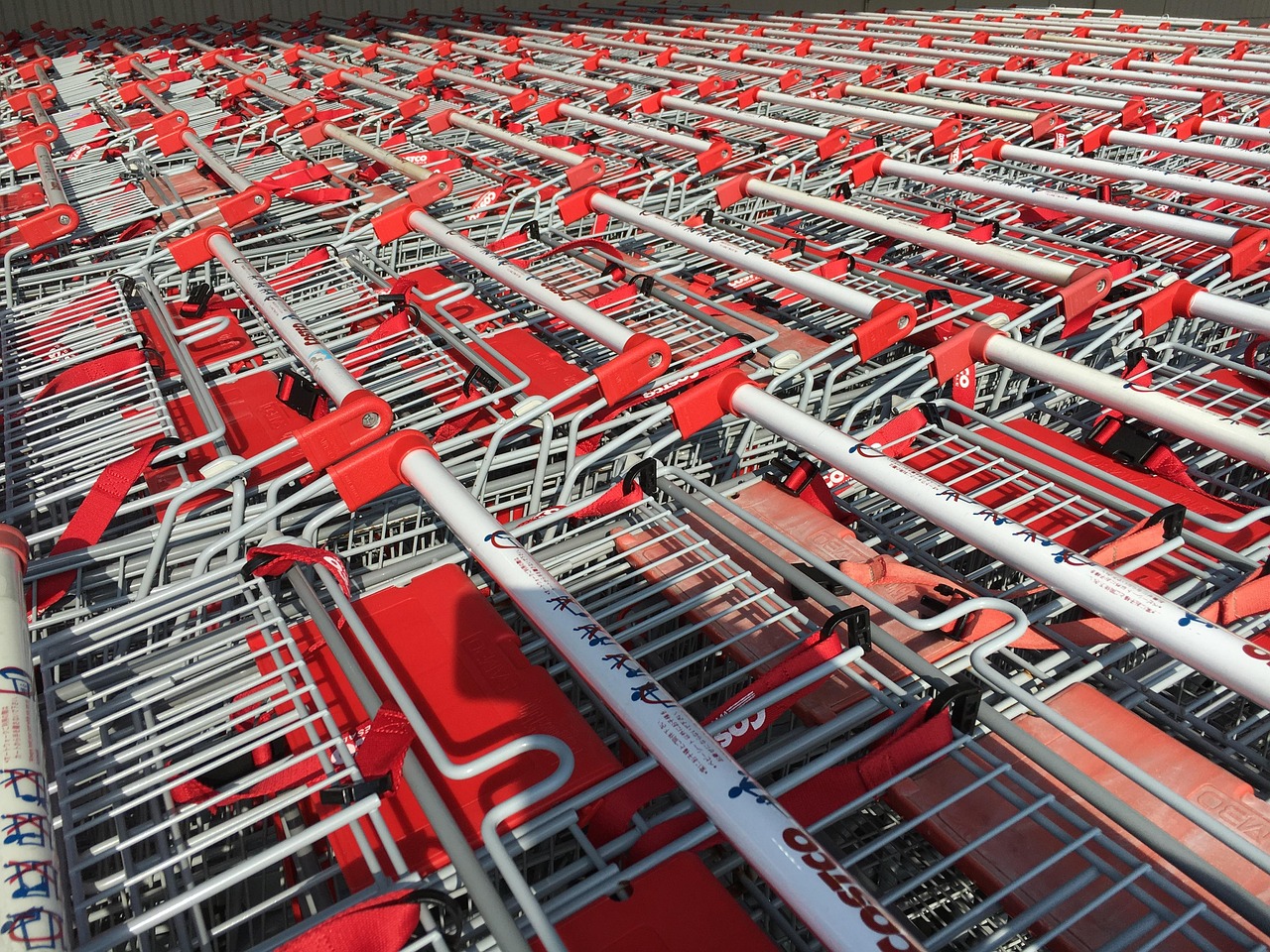 costco membresia ejecutiva