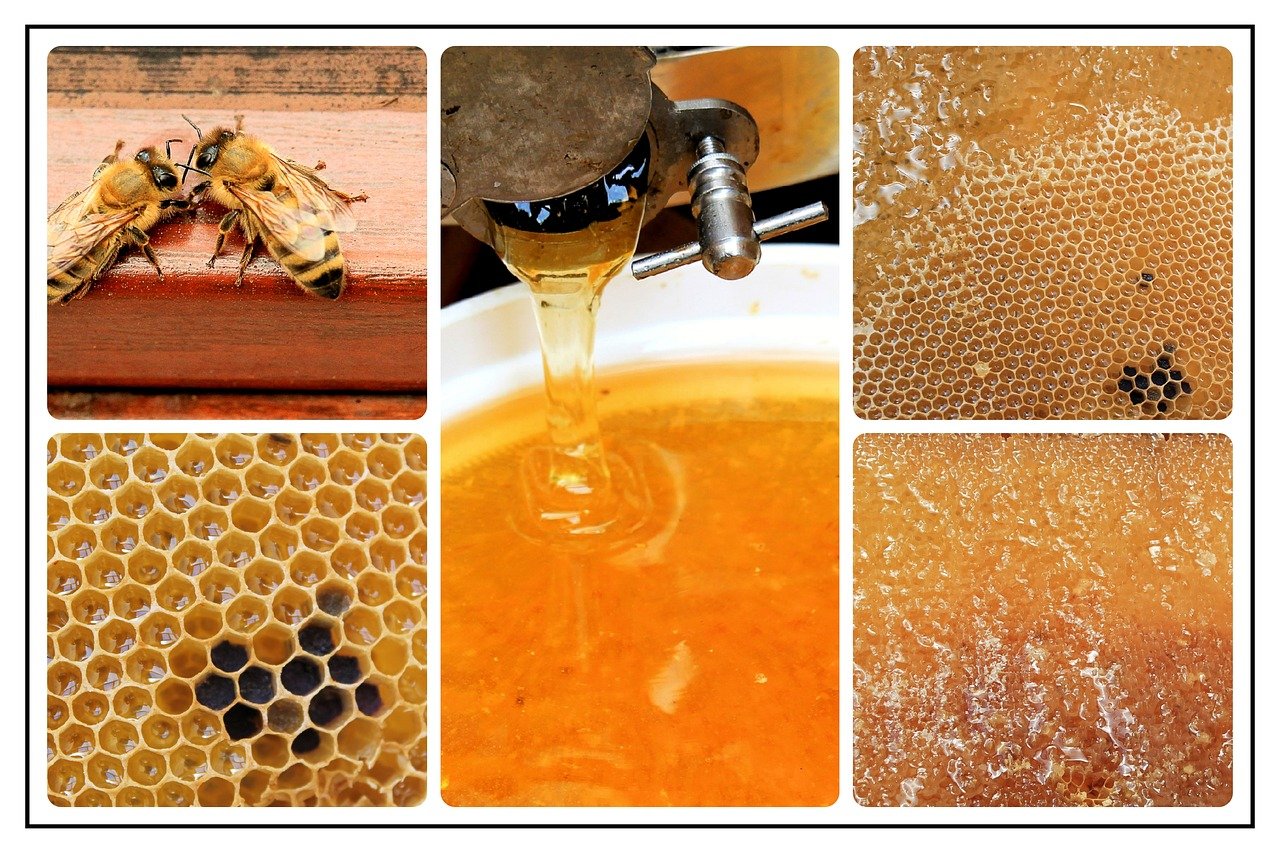 honey extension