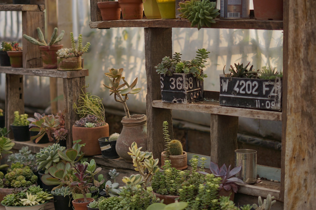tienda muebles cerca de mi