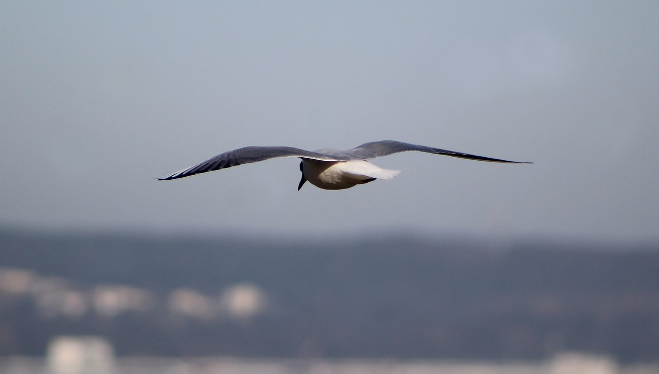 trabajos en casa para ganar dinero