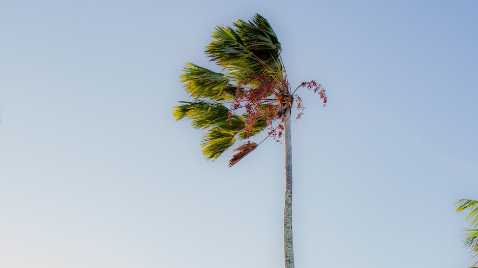 cosas que se puede vender para ganar dinero