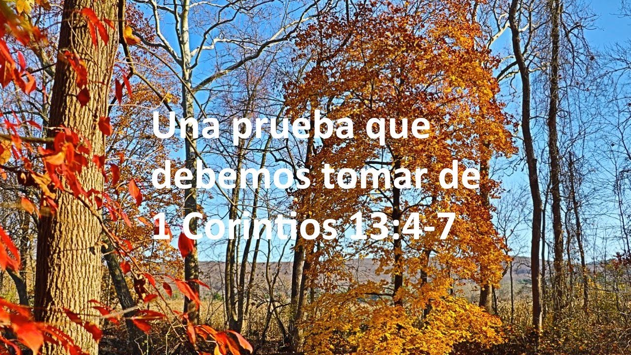 1 corintios 13 4 7