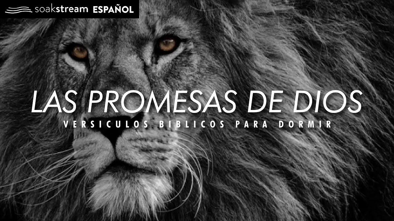 30 poderosas escrituras bíblicas sobre la procrastinación: Inspírate hoy 1 30 poderosas escrituras biblicas sobre la procrastinacion