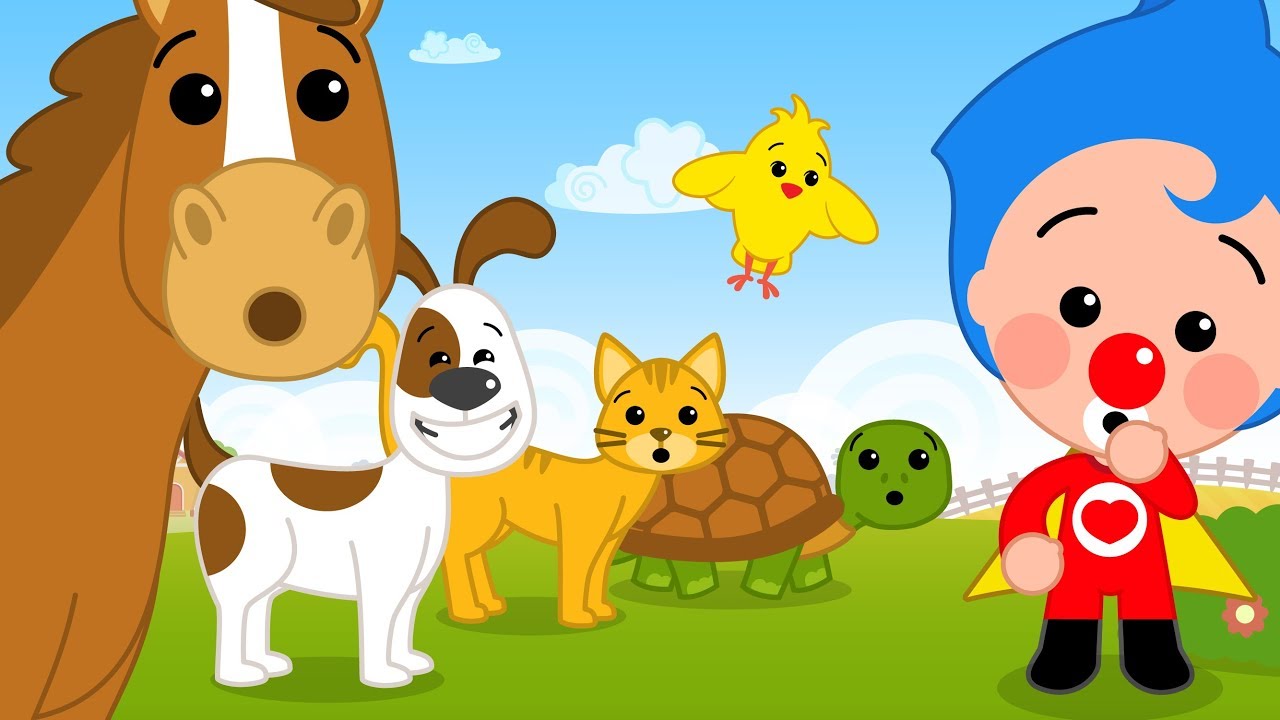 como los animalitos