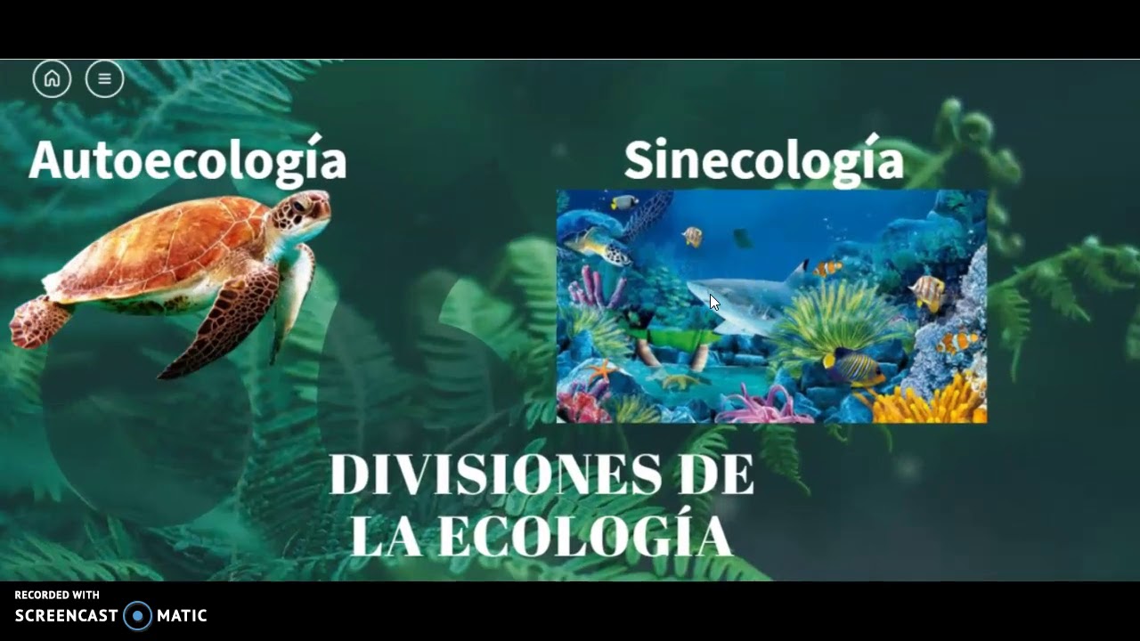 Divisiones de la ecología: 7 aspectos clave que debes conocer 1 divisiones de la ecologia