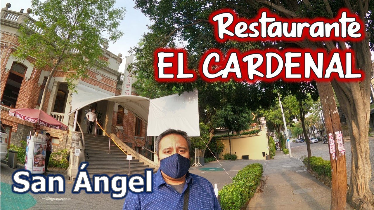 Cardenal San Ángel: 7 secretos ocultos de su historia fascinante 1 el cardenal san angel