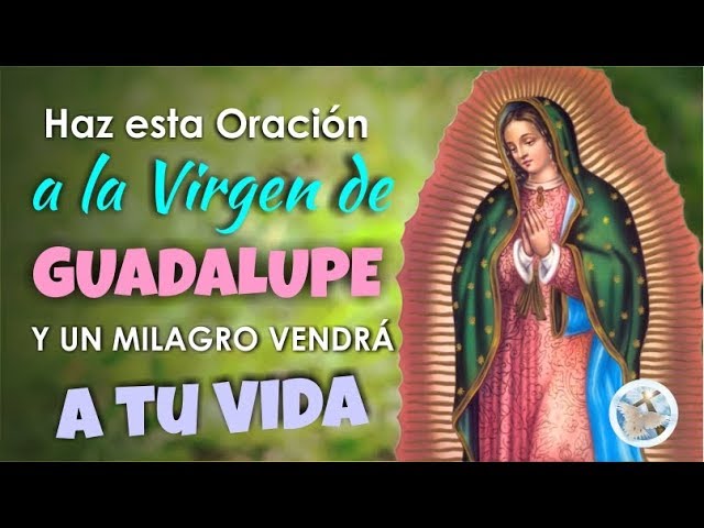 Feliz Día Virgen de Guadalupe: 7 maneras de celebrarlo con fe 1 feliz dia virgen de guadalupe