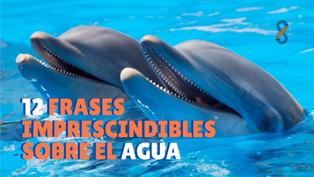 El agua es vida: 7 beneficios sorprendentes que no conocías 1 frases sobre el agua