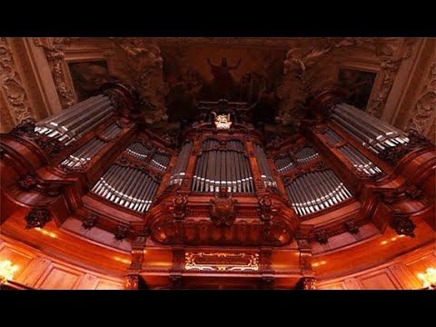 organo instrumento