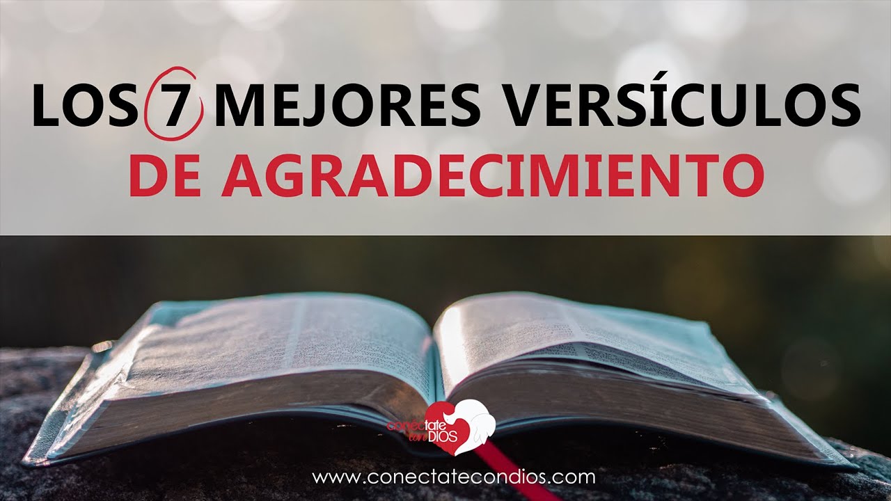 palabra del seño 20 versiculos sobre las ensenanzas de dios