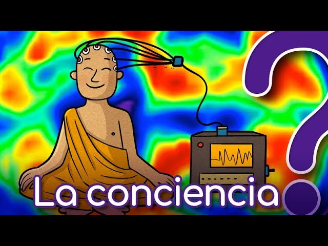 ¿Qué es conciencia? 5 aspectos clave para entenderla mejor 1 que es conciencia