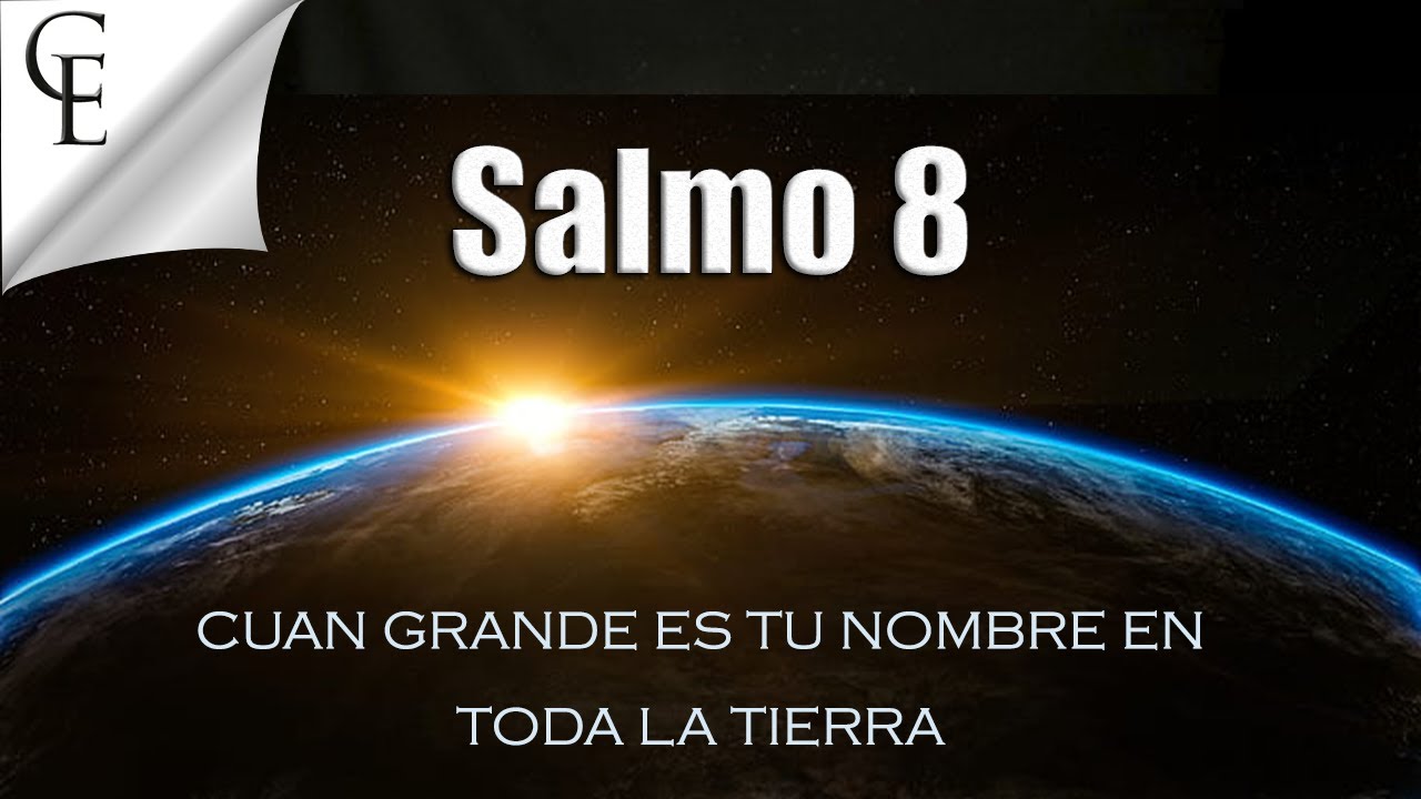 Salmo 8: 7 motivos para reflexionar sobre nuestra grandeza 1 salmo 8