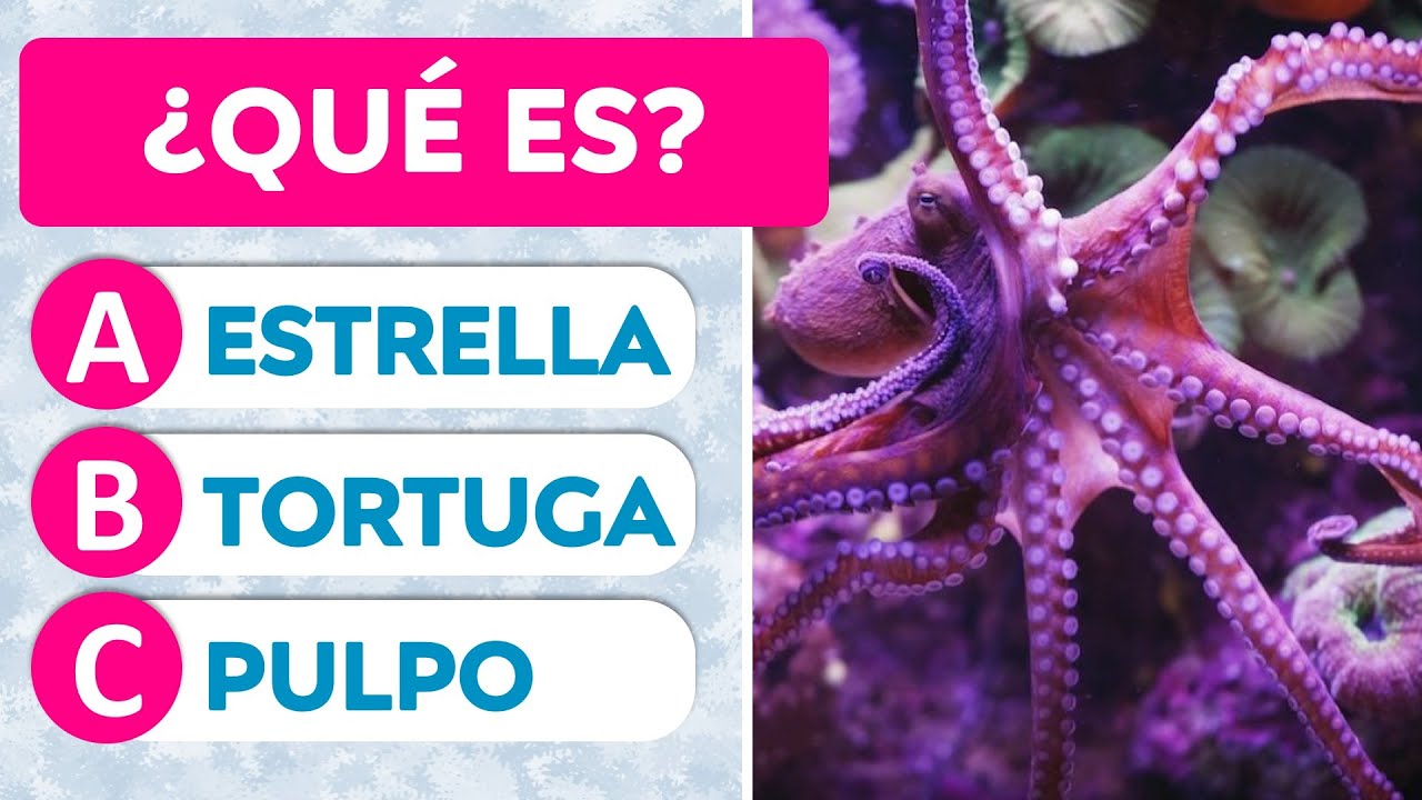 adivinanzas para niños dificiles
