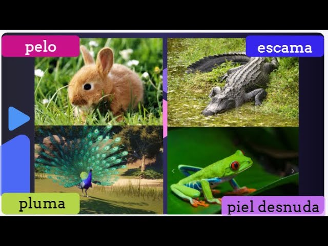 animales con escamas