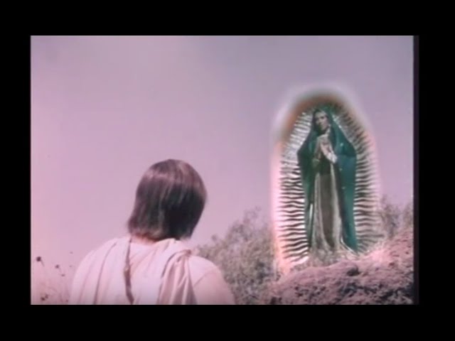 aparicion de la virgen de guadalupe 2