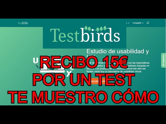 ganar dinero con Testbirds